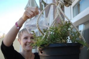 Martina Muzi - Connecting gardens - Design Academy Eindhoven