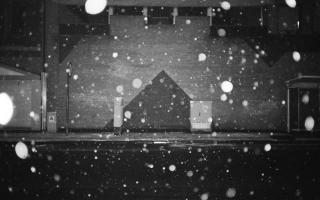  photo David Widart