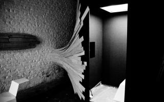 � photo David Widart